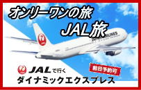 JALダイナミックエクスプレスのJAL旅